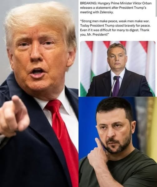 media 1